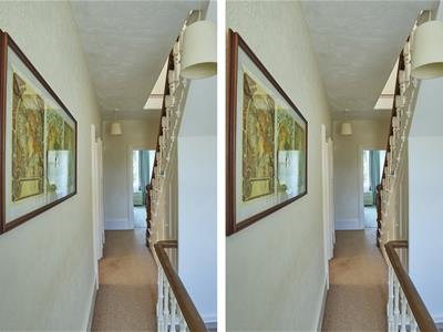 Picture 15
